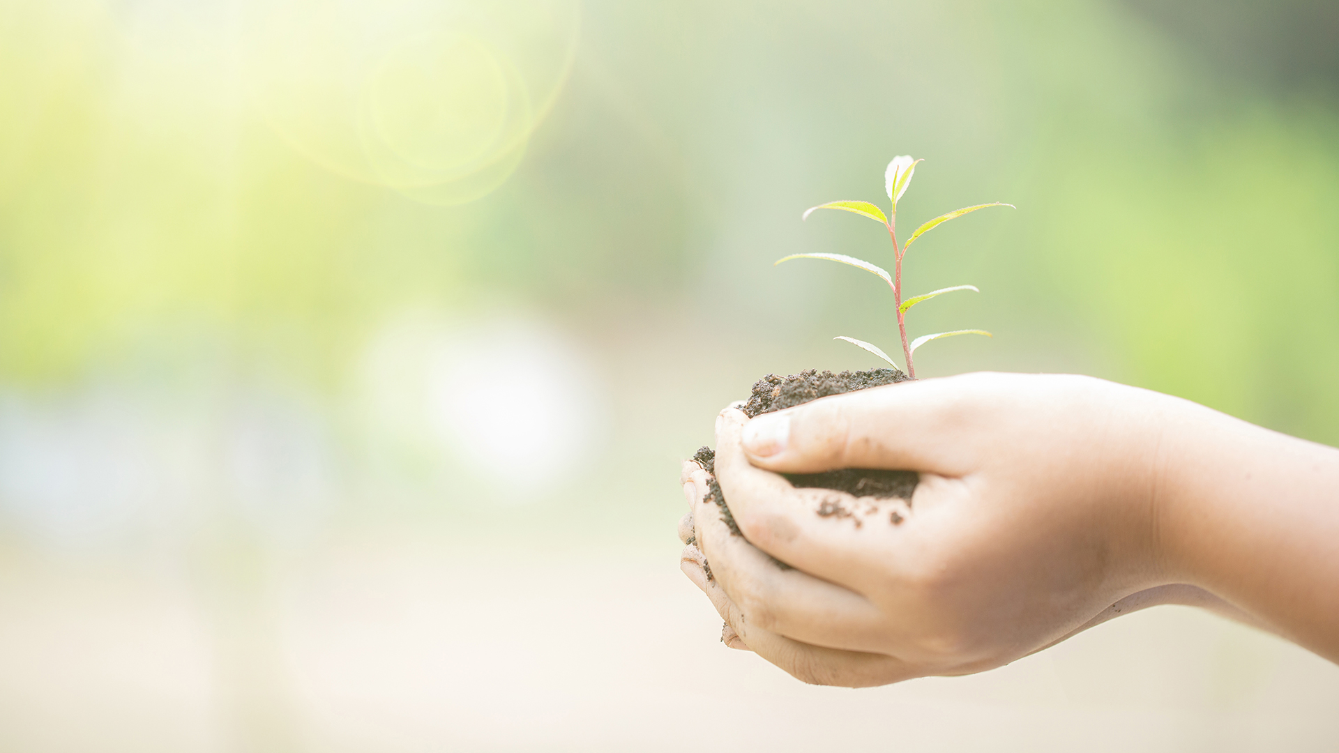 適性揚才、終身學習